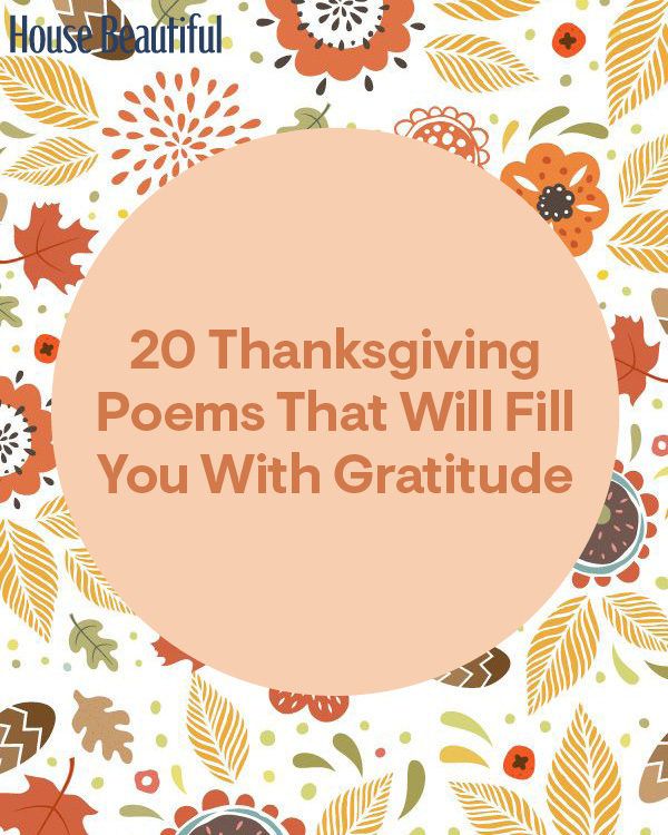 the words 20 thanksgiving poem that will fill you with grateful