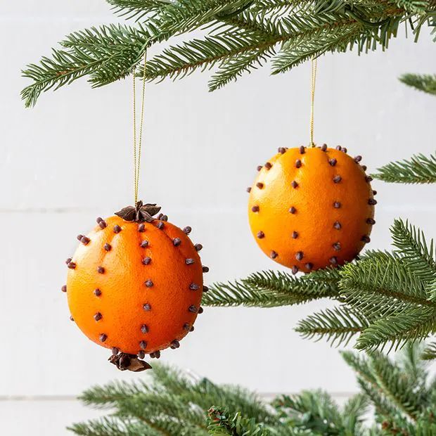 two oranges hanging from a christmas tree