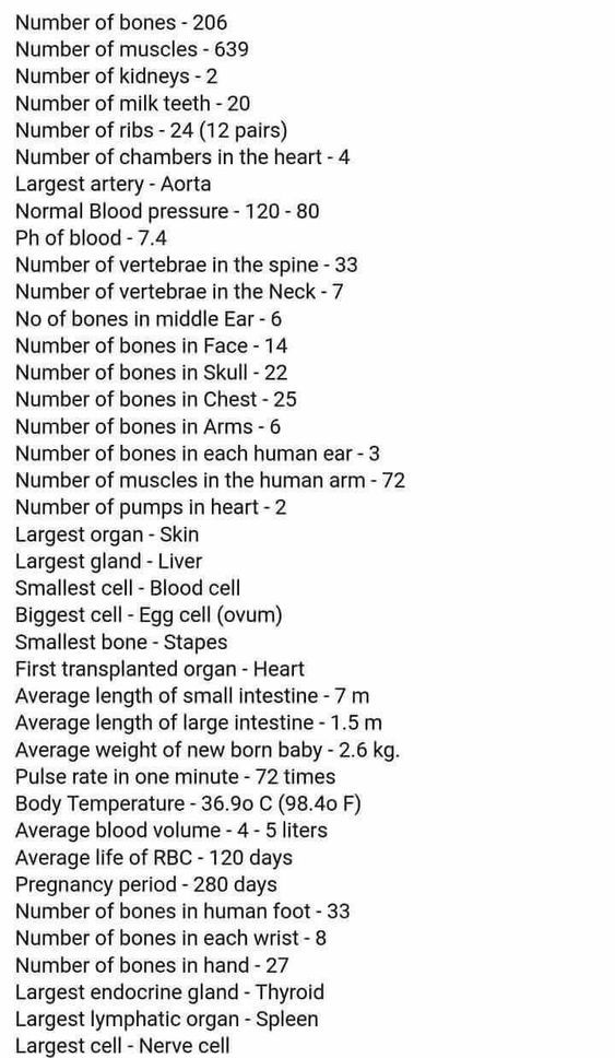 the table has numbers and symbols for each type of substance in it, including hydrogens