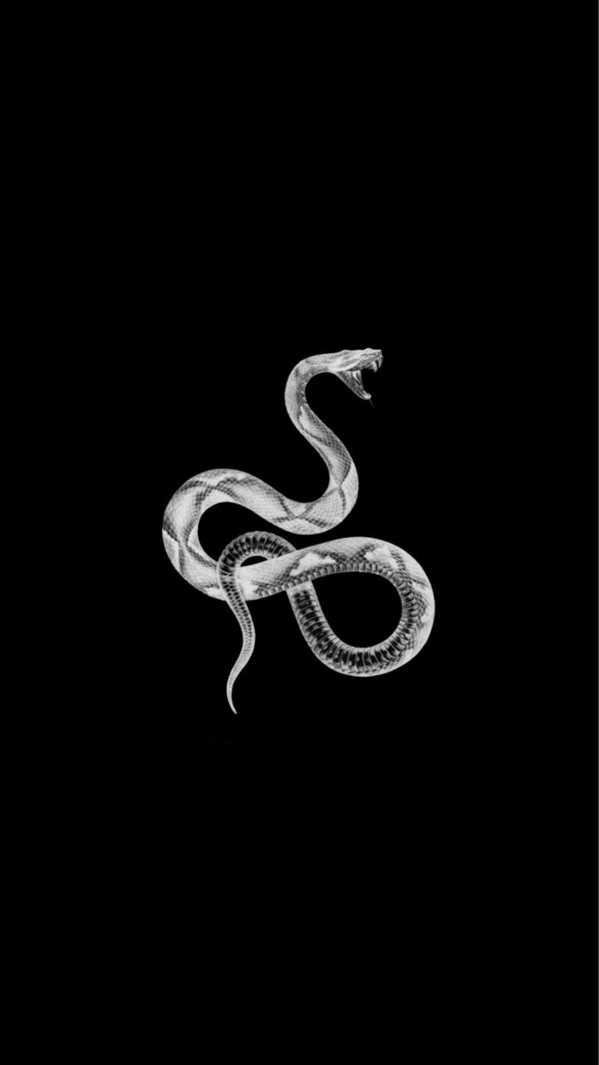 a black and white photo of a snake on a dark background with the words,'snakes