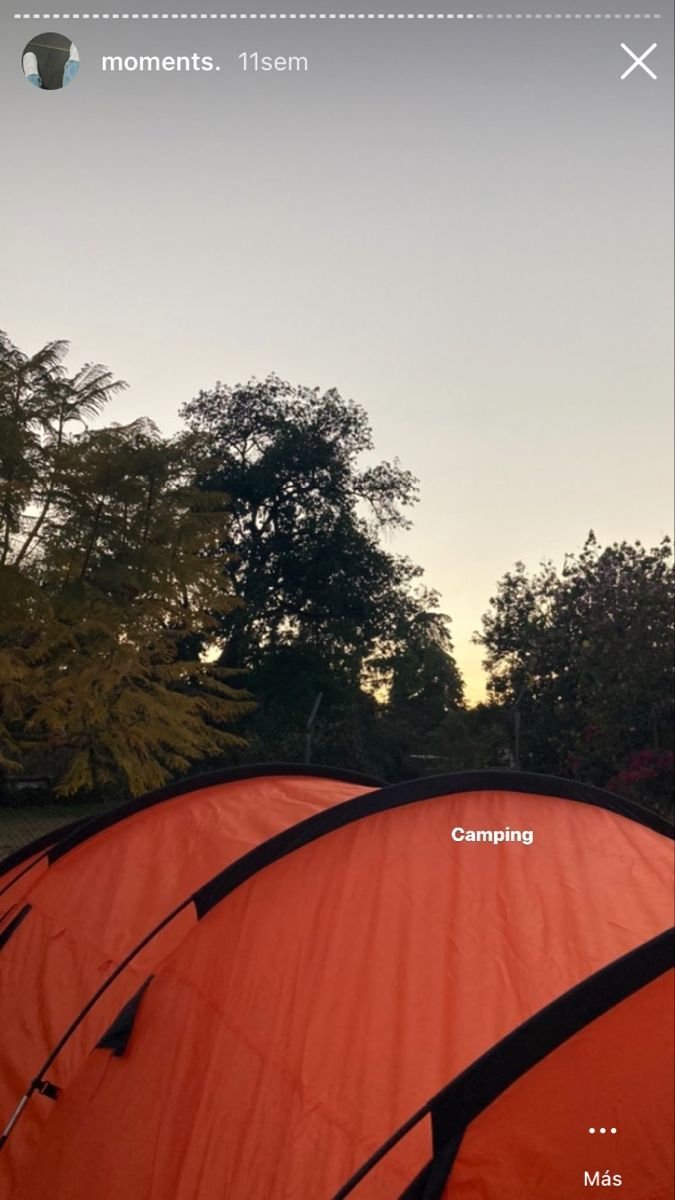 there are many tents set up in the grass with trees behind them and one is empty