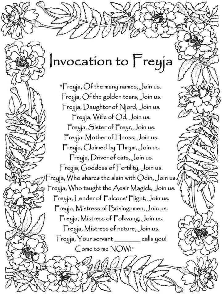 an ornate frame with flowers and leaves in black ink on white paper, which reads information to freija