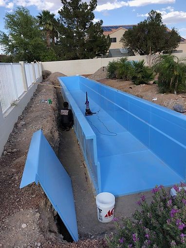 an empty swimming pool in the middle of a yard with purple flowers growing around it