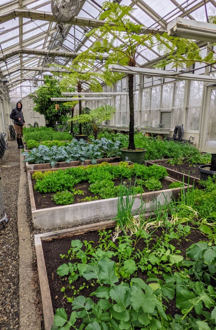 an indoor greenhouse with lots of plants growing in it