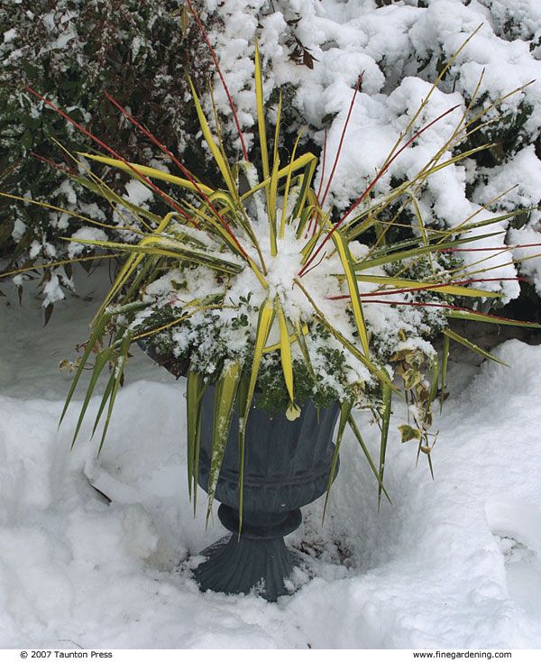 a potted plant is covered in snow