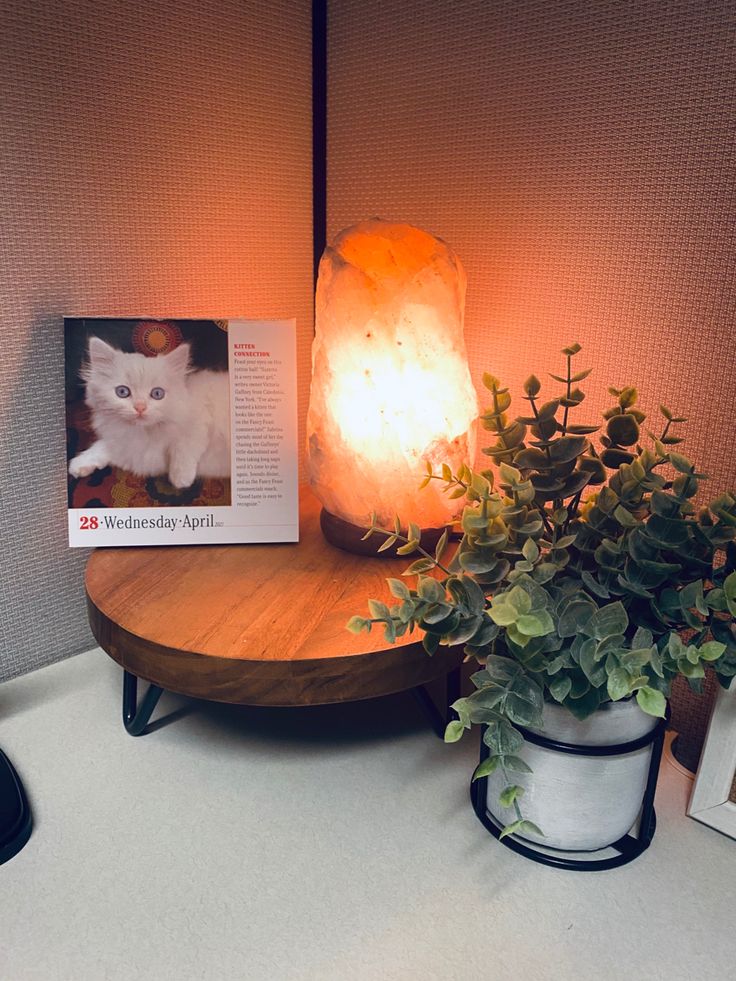 a table with a lamp, potted plant and book on it