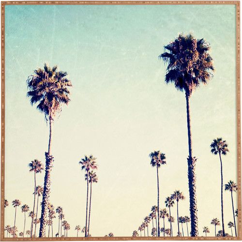 palm trees against a blue sky with gold trim