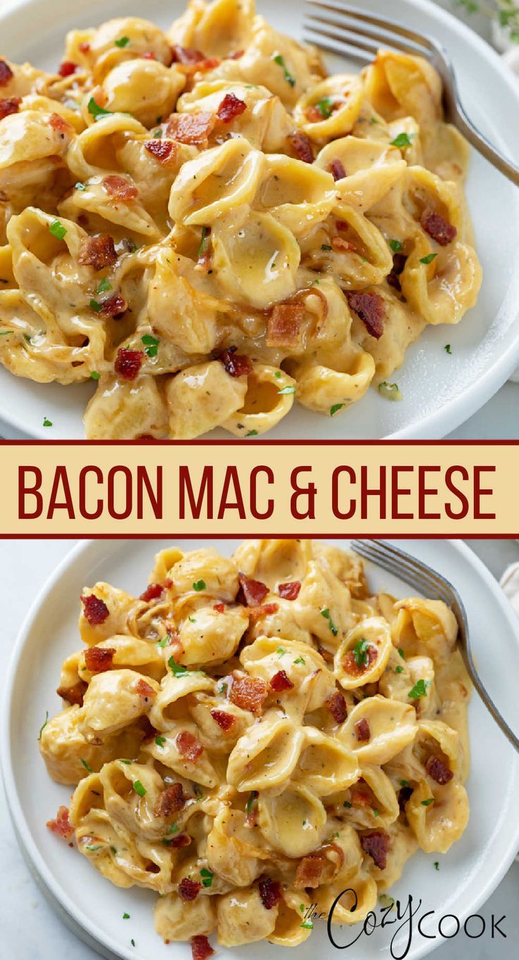 bacon mac and cheese with shell pasta. Extra cheese and garnished with bacon Homemade Mac And Cheese With Bacon, Dinner Ideas Bacon, Different Types Of Mac And Cheese, Easy Bacon Dinner Recipes, Homemade Bacon Mac And Cheese Recipe, Bacon Supper Ideas, Bacon Meals Easy Dinners, Bacon Ideas Easy Dinners, Bacon Dishes Dinners