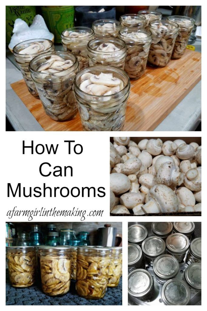 jars filled with mushrooms sitting on top of a wooden table