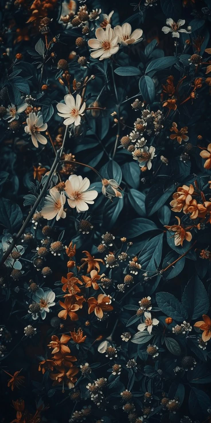 an image of flowers that are growing in the dark night sky with orange and white blooms