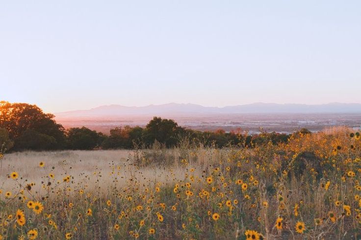 the sun is setting over an open field with wildflowers and mountains in the distance