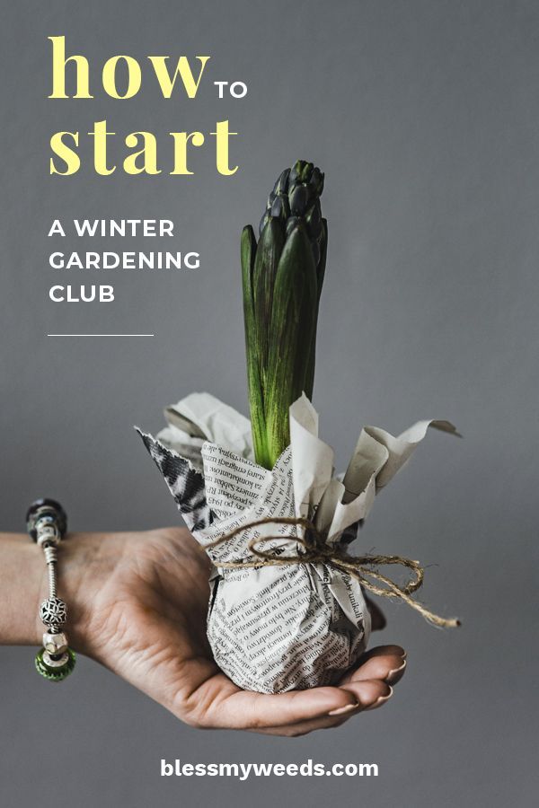 a person holding a bag with flowers in it and the text how to start a winter gardening club