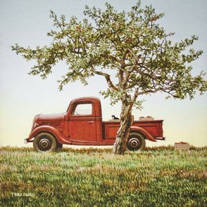 an old red truck parked next to a tree in a field with green grass and blue sky