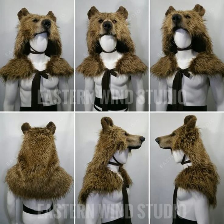 four different pictures of a bear wearing a tie and fur collar with multiple images of the same animal's head