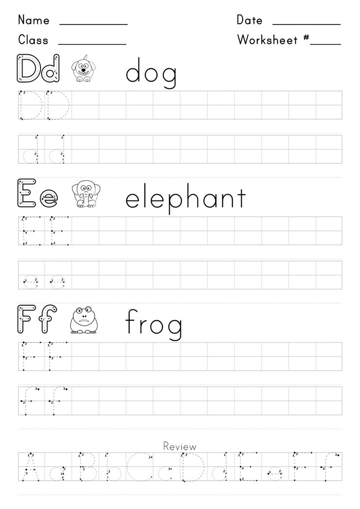 worksheet with the letter d for children to practice handwriting and writing letters in english