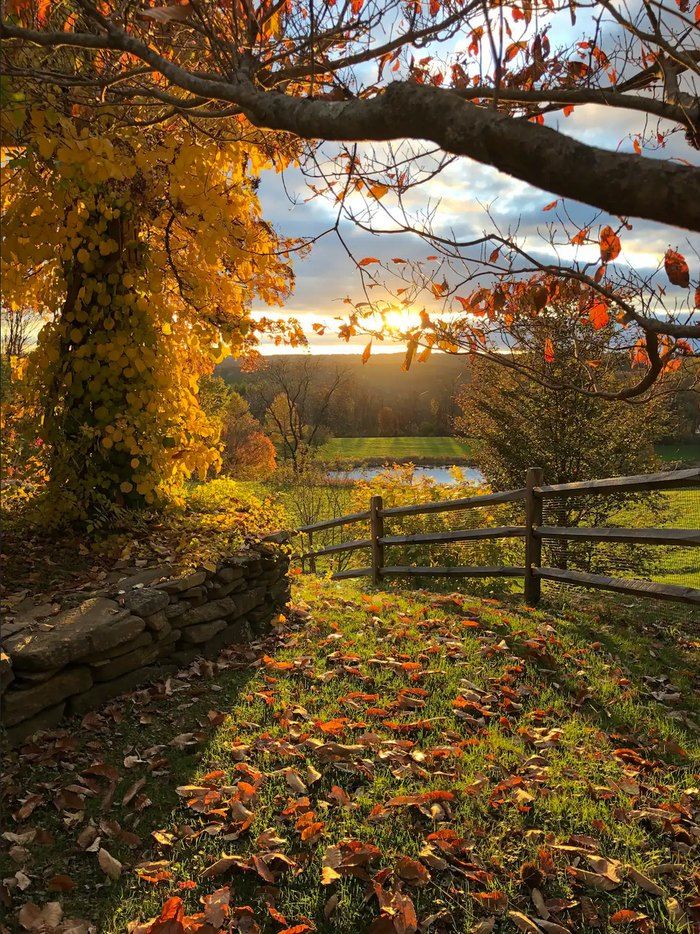 the sun is setting over an autumn field