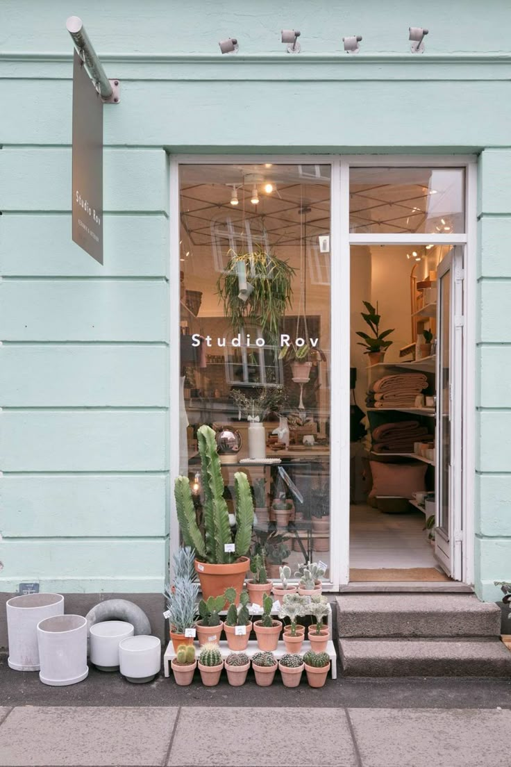 there are many potted plants in front of the store