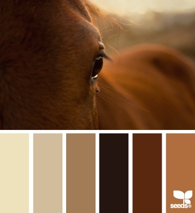 a horse's eye is shown in this color scheme