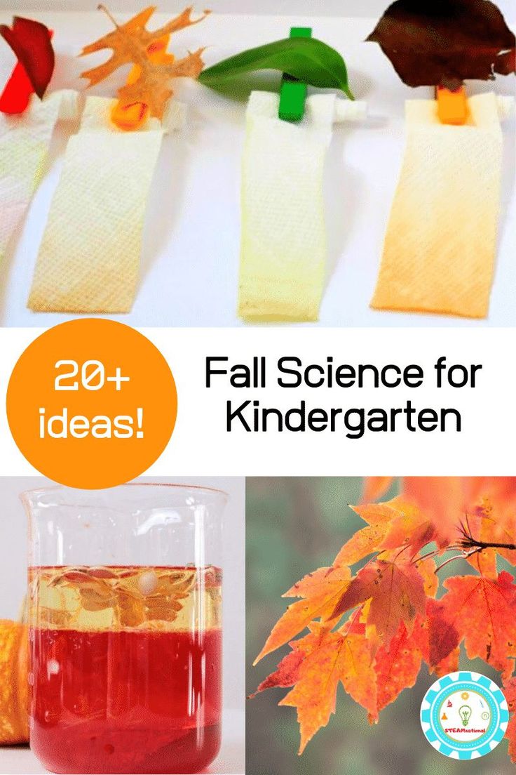 fall science for kids that are fun to do with the kids and they can also learn how to make them