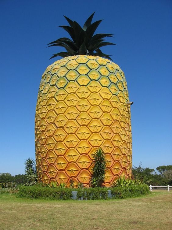 a large yellow pineapple sitting on top of a lush green field