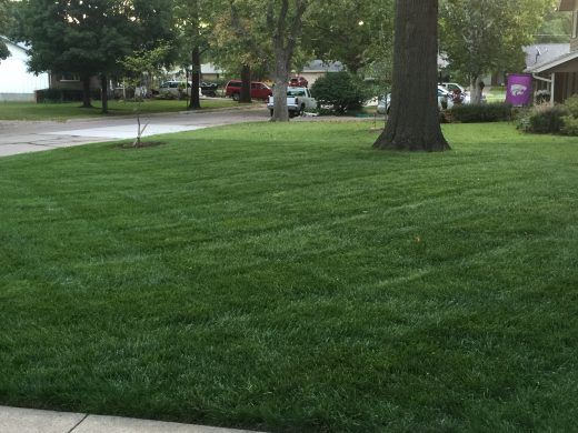 the grass is green and ready to be mowed in front of the house,