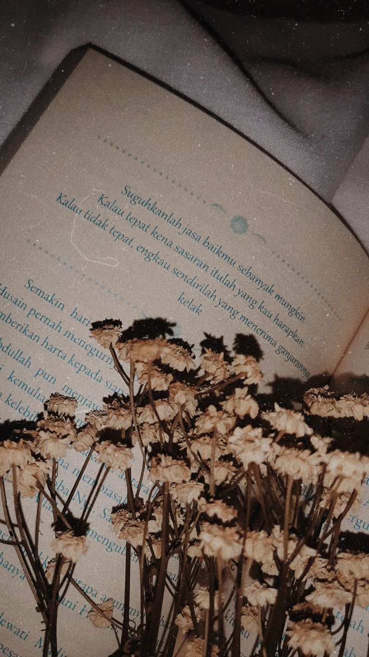 an open book with dried flowers in it