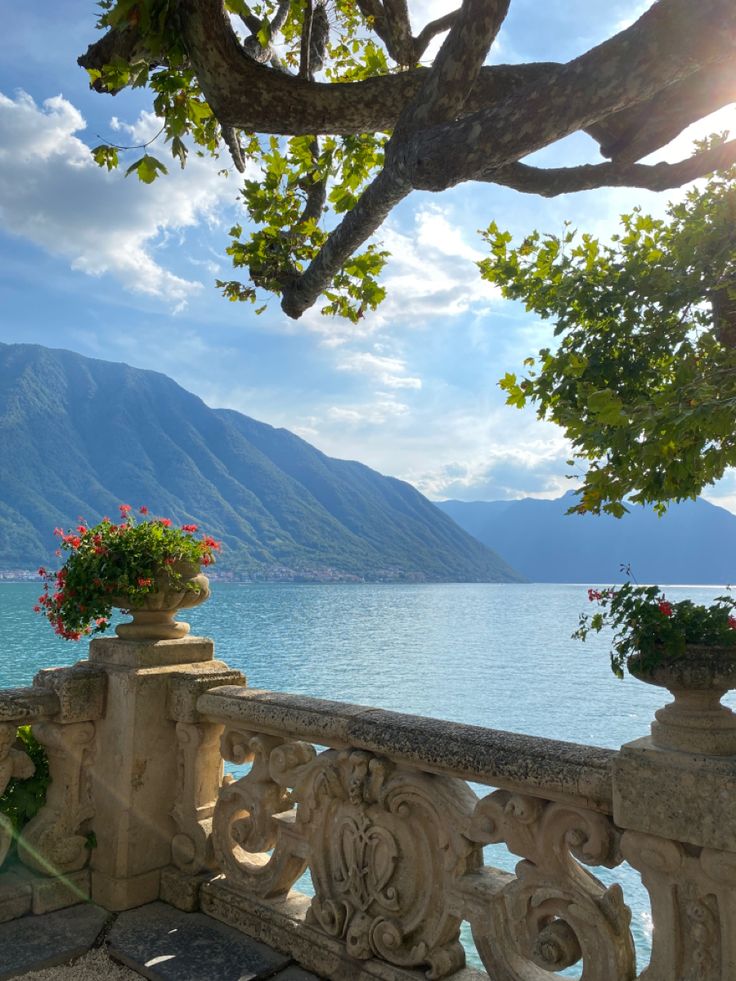 the sun shines brightly on an ornate balcony with flowers and potted planters