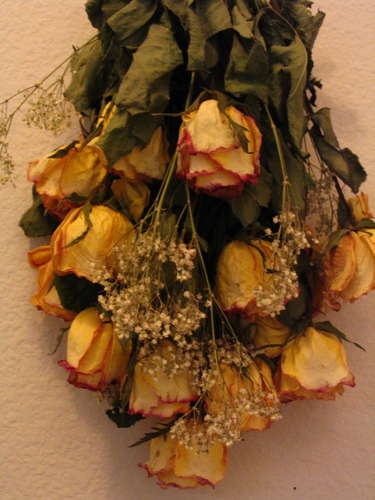 a bunch of flowers that are sitting on the wall next to some leaves and twigs