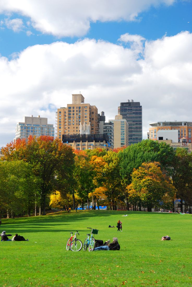 people are laying on the grass in a park with trees and buildings in the background