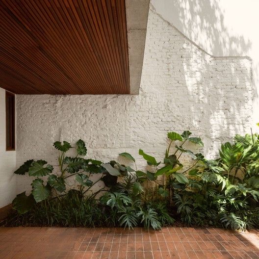 plants are growing on the brick floor in front of a white wall and wooden slatted ceiling