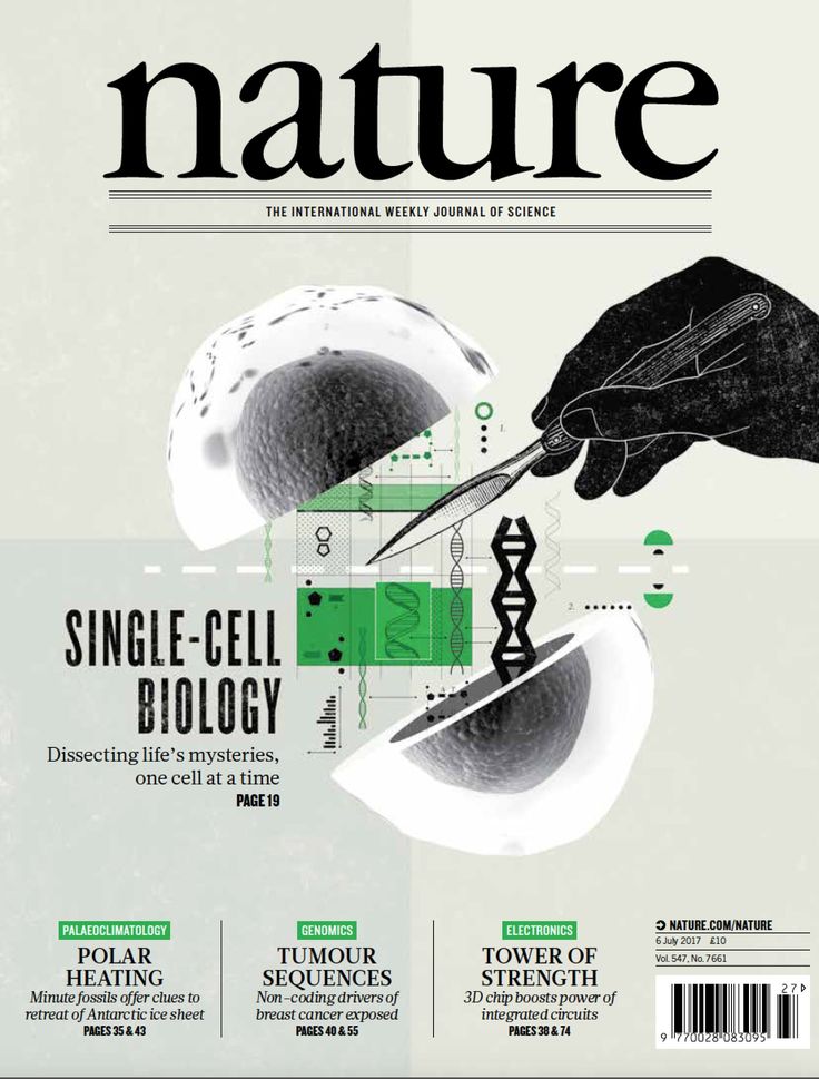 Nature Magazine Cover, Magazine Cover Illustration, Scientific Magazine, Scientific Poster Design, Nature Magazine, Biology Poster, Magazine Cover Ideas, Scientific Poster, Science Magazine