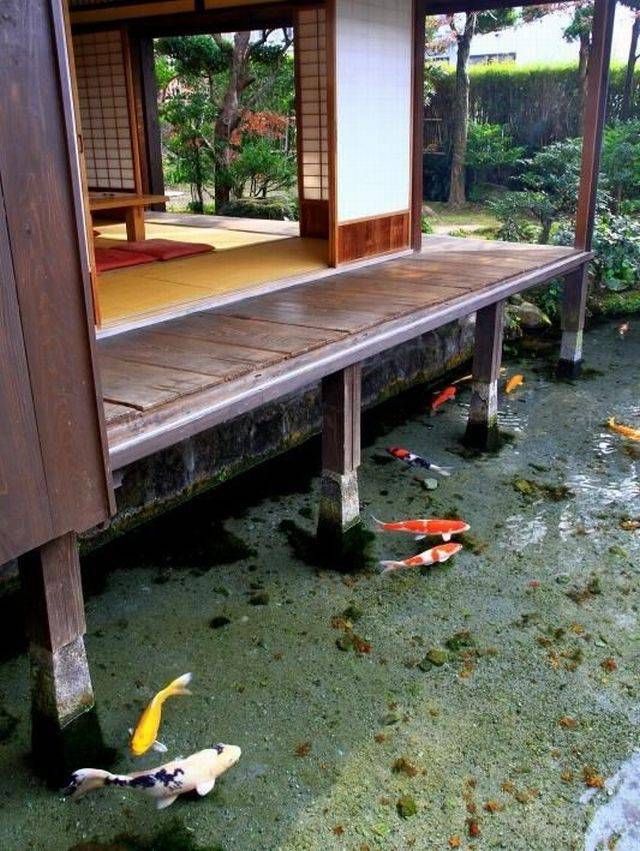 a japanese style house with koi fish in the water and grass on the ground