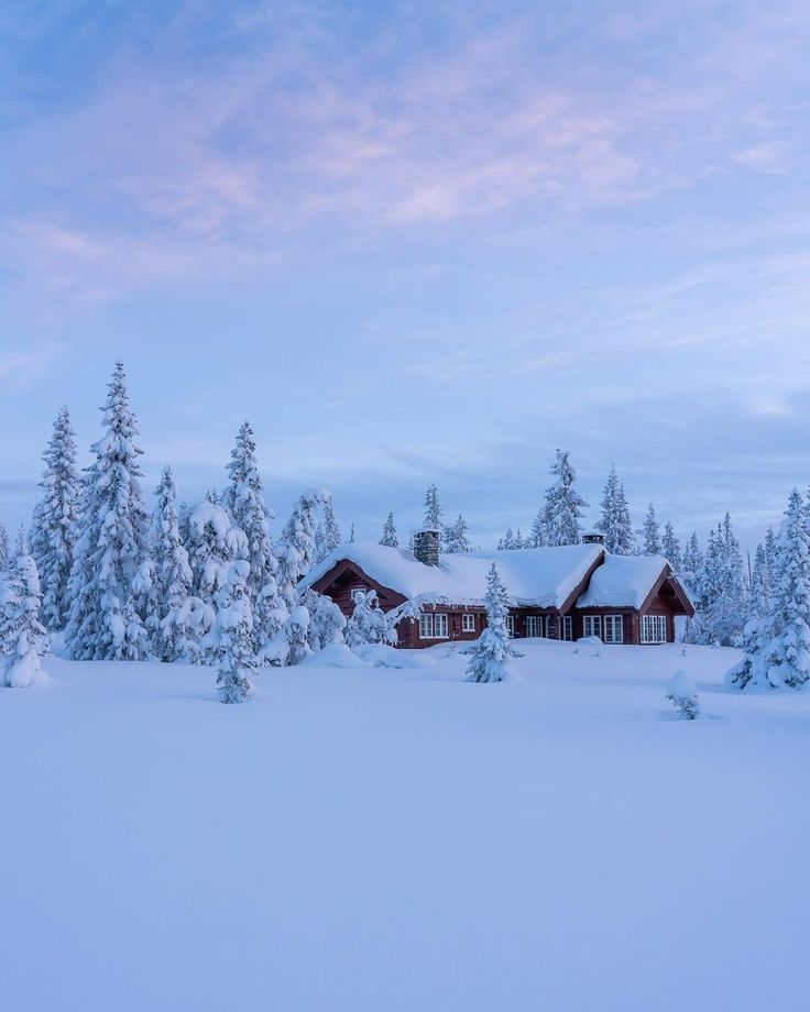 a house in the middle of a snowy field with trees on both sides and snow covered ground