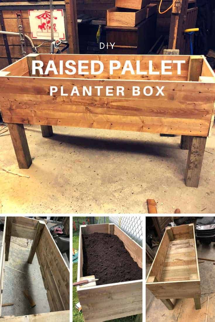 the raised pallet planter box is made out of wood