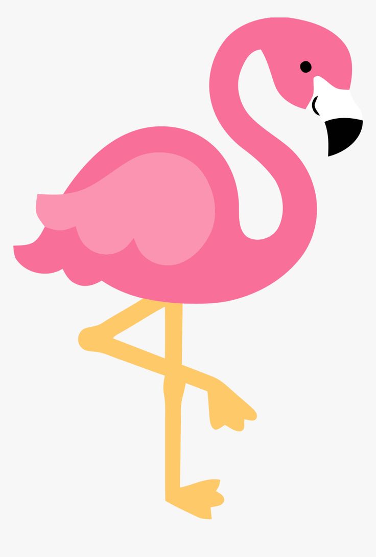 a pink flamingo standing on one leg with its head turned to the side and legs crossed