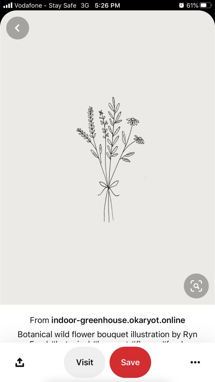 an iphone screenshot with the text, from indoor greenhouse okayot online botanical wildflower bouquet illustration by ryan