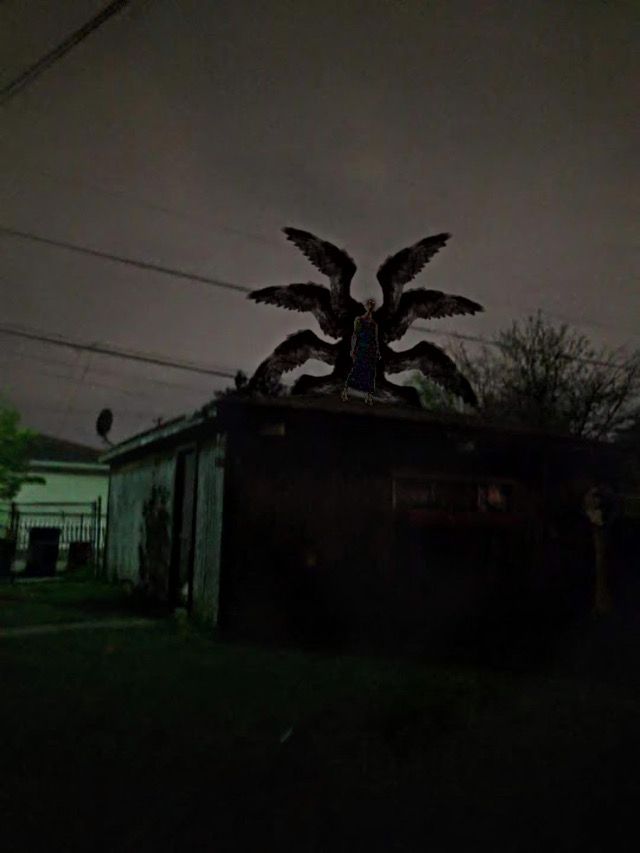 an image of a bird statue on top of a building at night time with the sky in the background