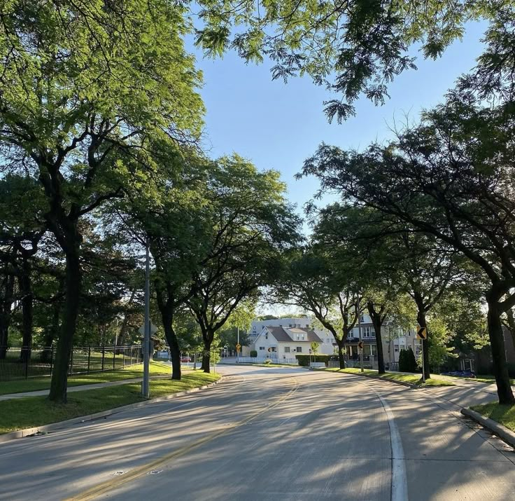 an empty street lined with trees and houses