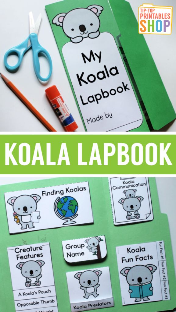 the koala lapbook is open and ready to be used as a learning tool