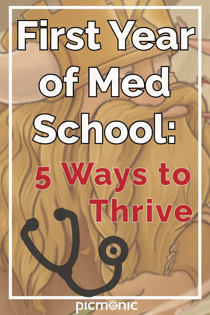 the first year of med school 5 ways to thrive by picmonic