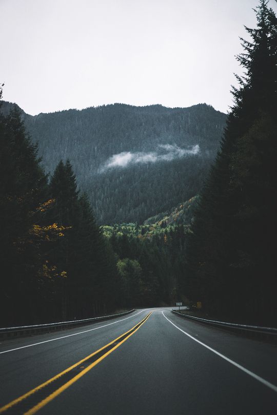 an empty road in the mountains with trees on both sides and low hanging clouds above