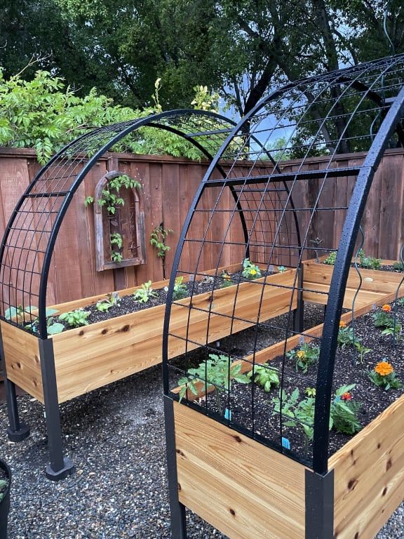 an outdoor garden area with many different types of plants and vegetables growing in the ground