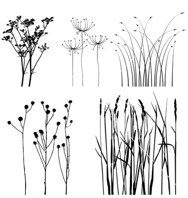 black and white silhouettes of plants with long stems, flowers and leaves on a white background