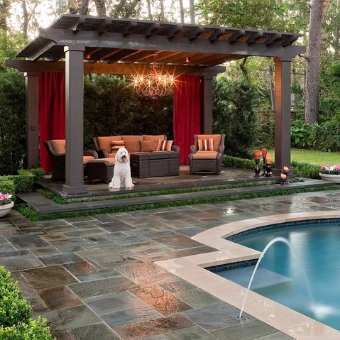 a dog sitting in the middle of a pool surrounded by greenery and patio furniture