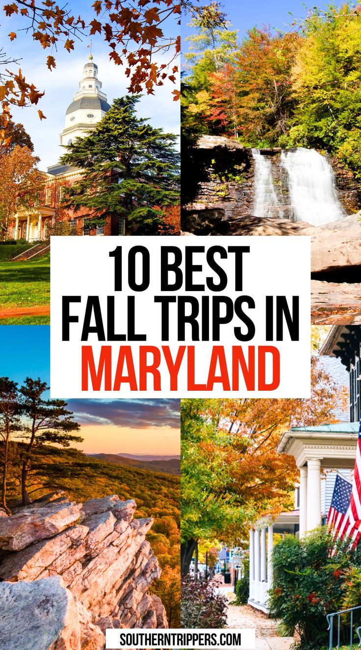 10 Best Fall Trips in Maryland Fall In Maryland, What To Do In Maryland, Things To Do In Maryland In Fall, Fun Things To Do In Maryland, Maryland Things To Do, Maryland Bucket List, Maryland Aesthetic, Things To Do In Maryland, Maryland Day Trips