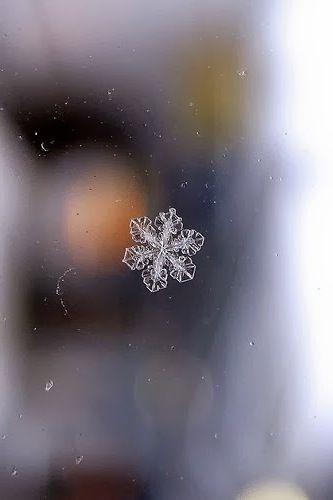 a snowflake is seen through a window