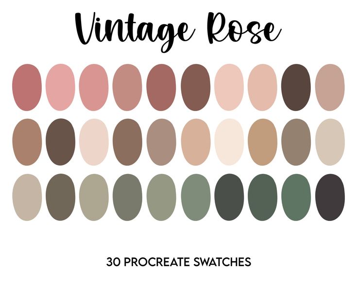 the vintage rose swatches are all different colors and sizes, with text that reads 30 procreate swatches