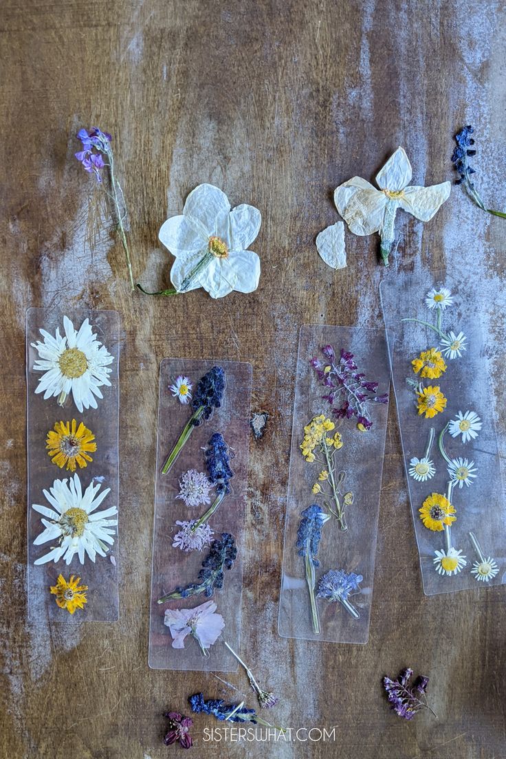 pressed flowers are arranged on clear acrylic sheets