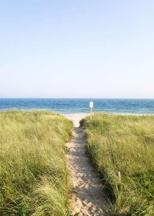 a path leading to the beach through tall grass