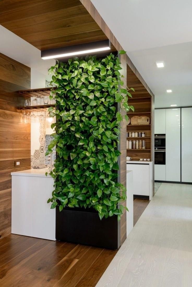 a kitchen with a plant growing on the wall next to it's counter top